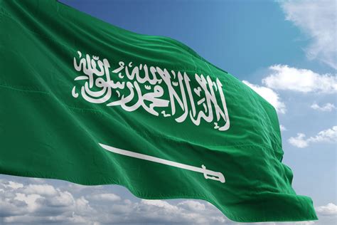 جهود المملكة العربية السعودية